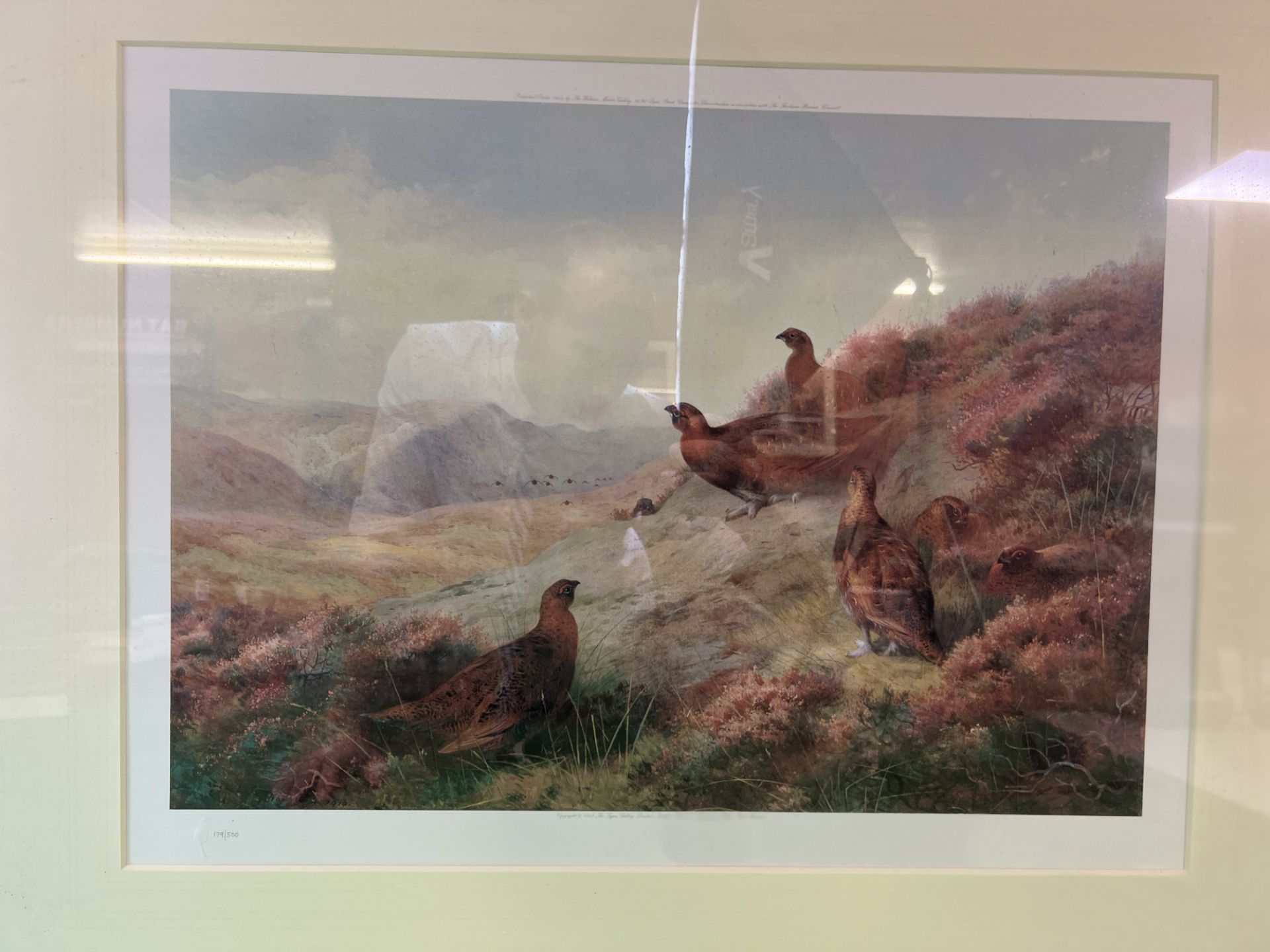 TWO ARCHIBOLD THORBURN LIMITED EDITION FRAMED PRINTS TO INCLUDE FRENCH PARTRIDGE IN A HEATHLAND - Image 4 of 6