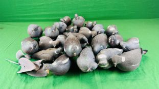 A CARRY BAG CONTAINING 20 FULL BODY PIGEON DECOYS AND 3 FLOCKED PIGEON DECOYS WITH ROTATING WINGS
