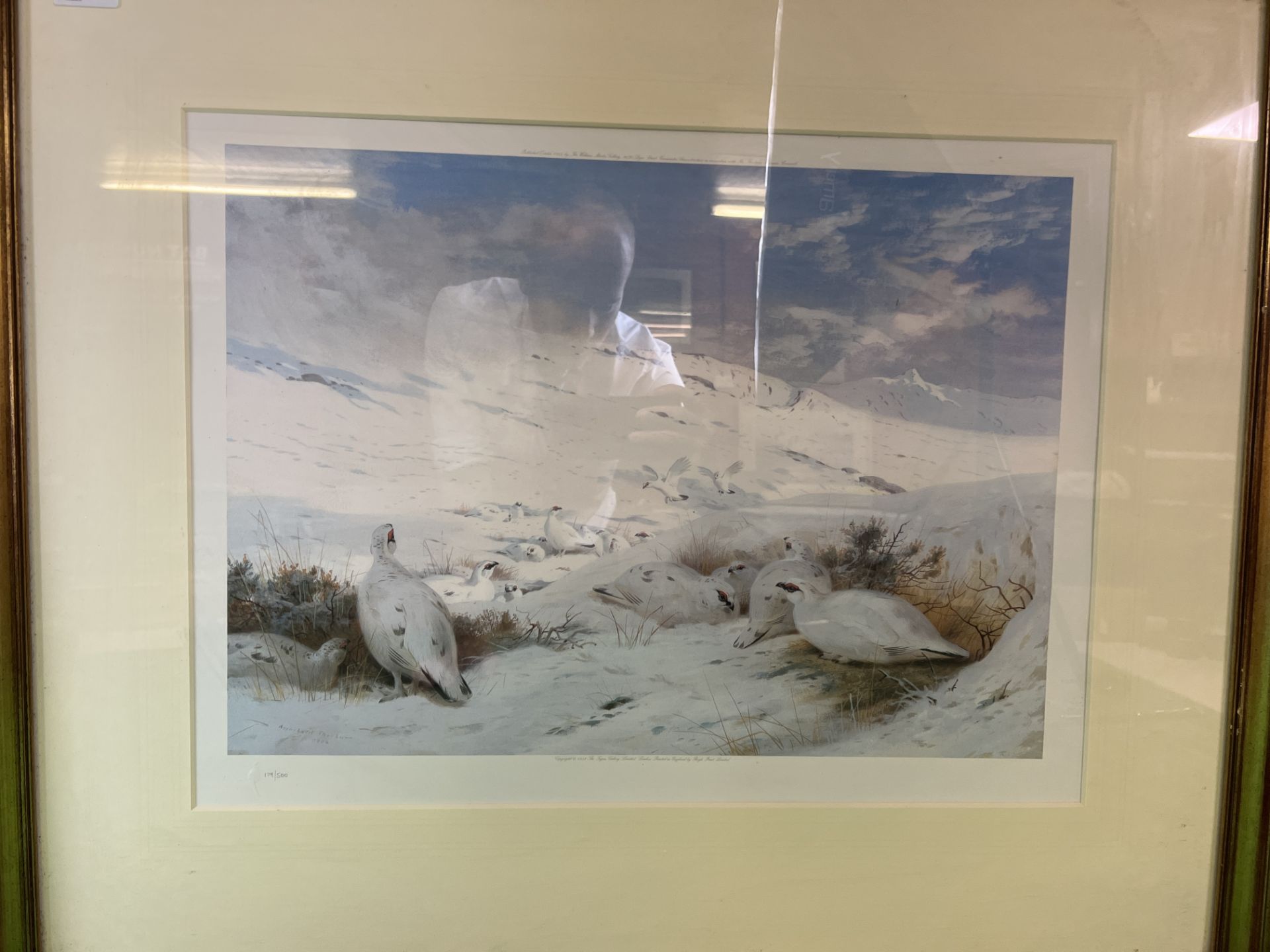 TWO ARCHIBOLD THORBURN LIMITED EDITION FRAMED PRINTS TO INCLUDE WHITE GROUSE IN A SNOW SCENE - Image 2 of 3