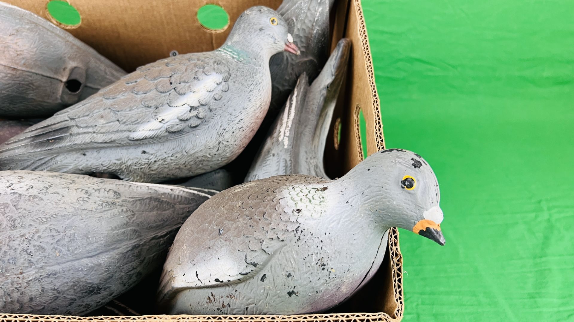 10 DECOY PIGEONS + ELECTRONIC ROTARY - Image 3 of 7