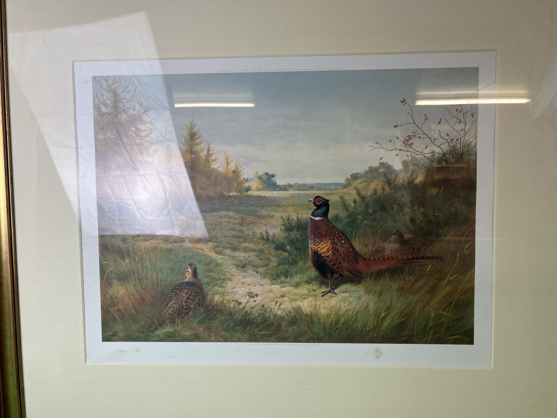 TWO ARCHIBOLD THORBURN LIMITED EDITION FRAMED PRINTS TO INCLUDE WHITE GROUSE IN A SNOW SCENE - Image 3 of 3