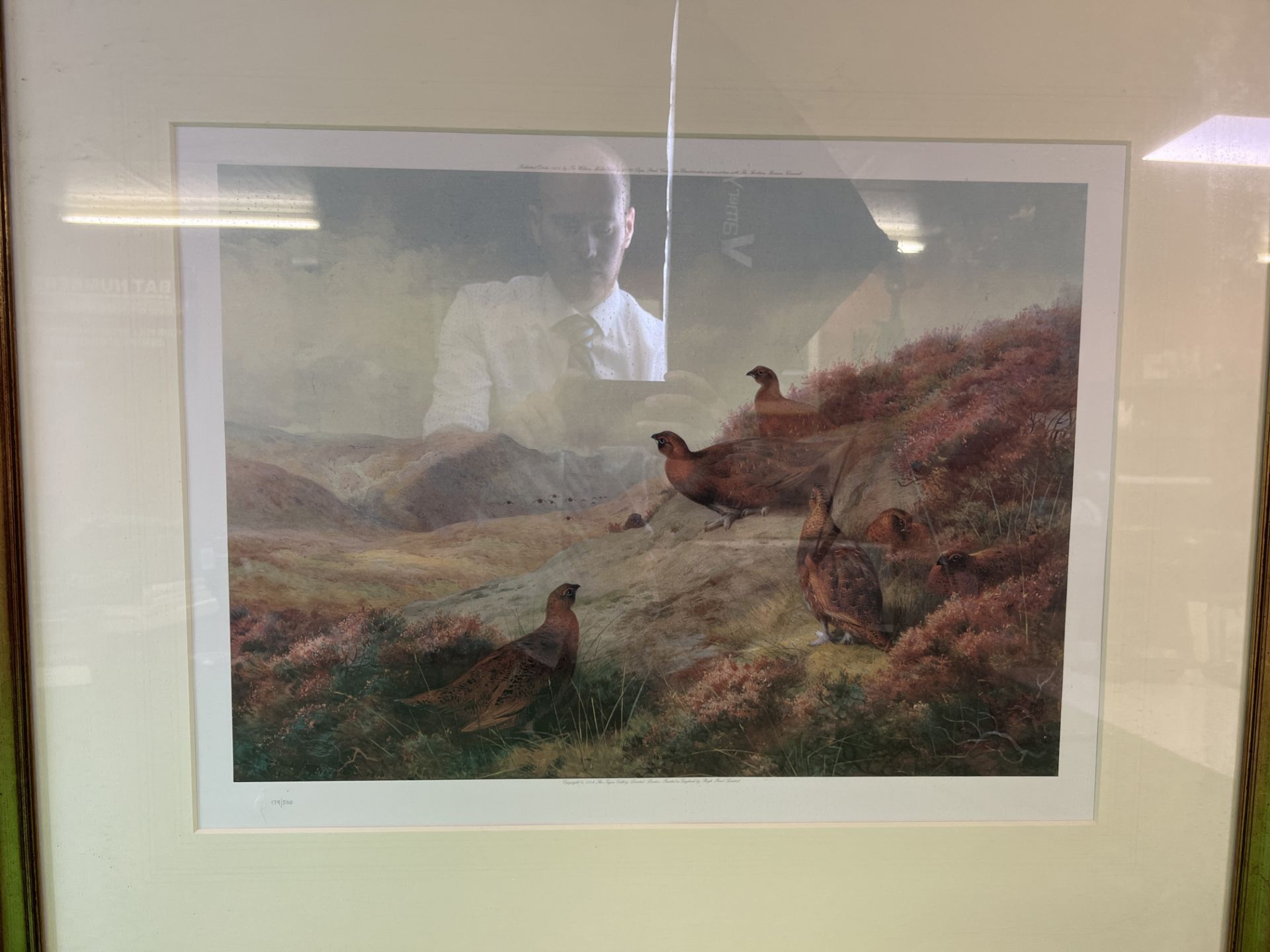 TWO ARCHIBOLD THORBURN LIMITED EDITION FRAMED PRINTS TO INCLUDE FRENCH PARTRIDGE IN A HEATHLAND - Image 2 of 6