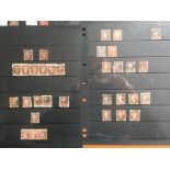 GB: FILE BOX WITH QV USED 1d IMPERFS, STARS AND PLATES IN A STOCKBOOK, ON STOCK CARDS AND LEAVES,