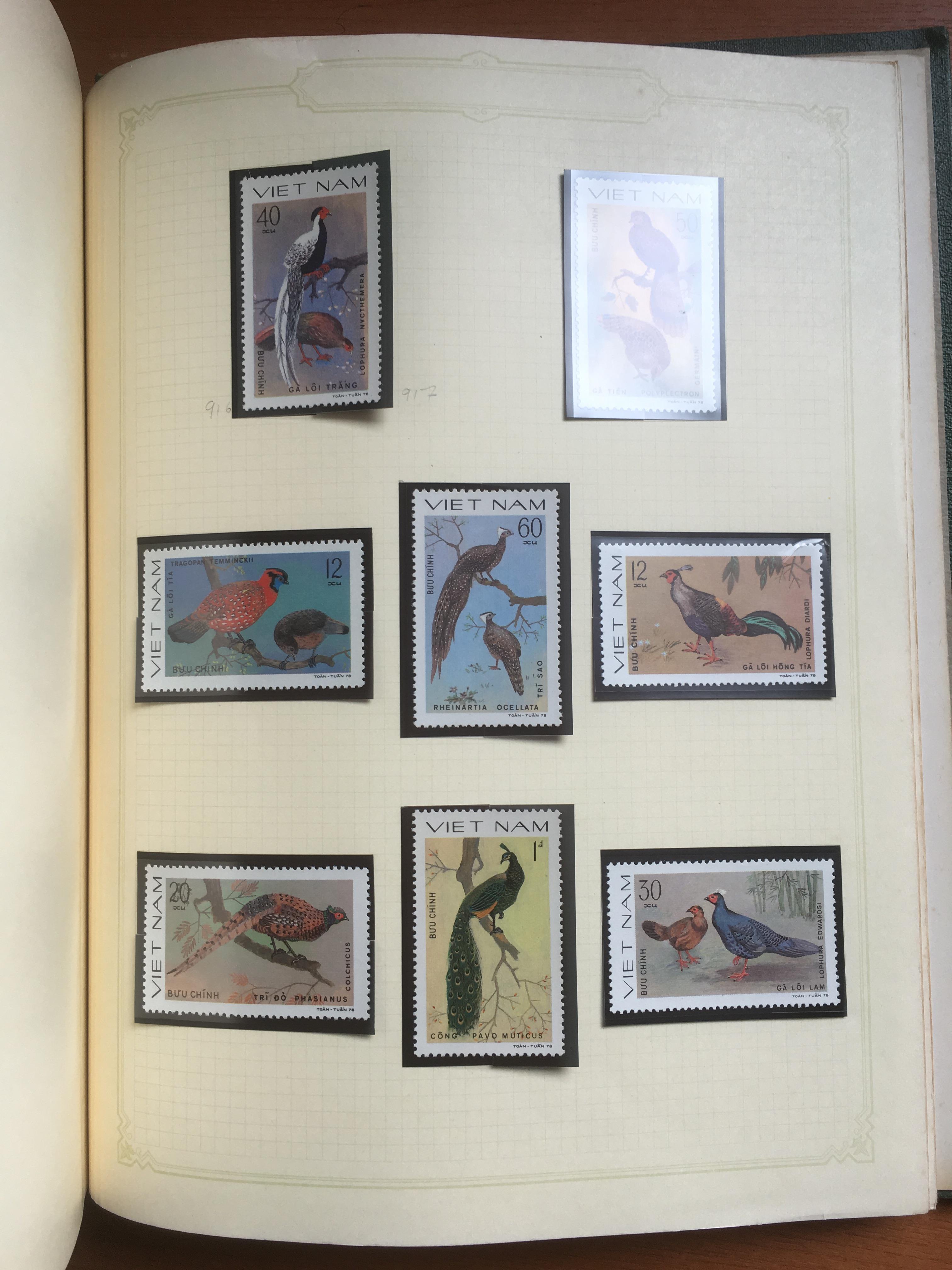 BOX WITH A COLLECTION BIRDS THEMATICS IN FOUR VOLUMES, - Image 6 of 7