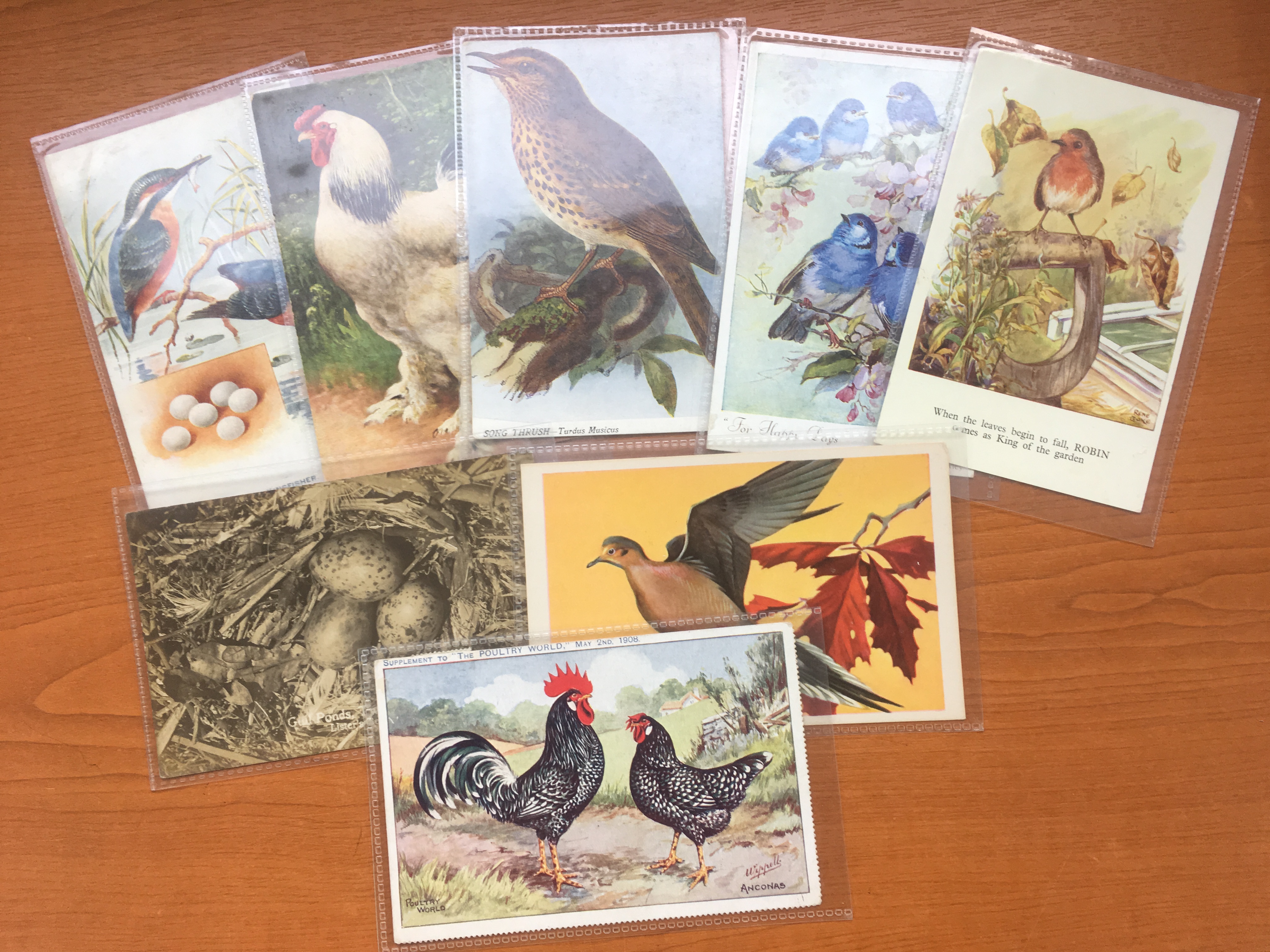 RETIRED DEALERS POSTCARD STOCK: BOX WITH ANIMALS, BIRDS, ETC, ARTISTS INCLUDING ELLAM, - Image 6 of 7