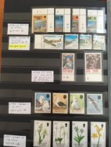 FALKLAND ISLANDS: STOCKBOOK WITH AN OG OR MNH COLLECTION FROM 1929-37 WHALE AND PENGUINS SET OG