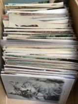 THE DEREHAM POSTCARD HOARD: BOX WITH ANIMALS, BIRDS, CATS, DOGS,
