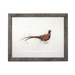 CLARE BROWNLOW AN ORIGINAL INK ON CARD 'PHEASANT TAIL' PAINTING OF A COCK PHEASANT, professionally