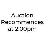 Break for Lunch. Auction to recommence at 2:00pm