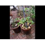 Three brown glazed garden pots
