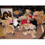 A collection of assorted teddy bears