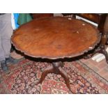 An antique mahogany snap-top table with carved sha