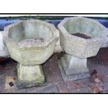 Two octagonal planters on plinths