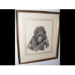 STEPHEN GAYFORD - A watercolour of 'Baby Gorilla'
