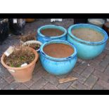 Six garden pots of varying shapes and sizes