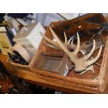 Two baskets containing bread bin, antlers, etc.