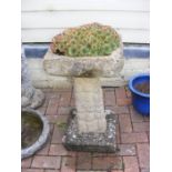A concrete birdbath/planter
