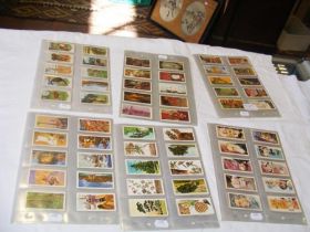 A selection of cigarette cards, including Adventur