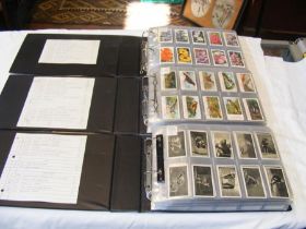 Three albums of collectable cigarette cards, including Carreras 1925 A Kodak at The Zoo and Wills 19