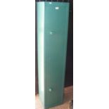 A green metal gun cabinet - width 35cms, height 16