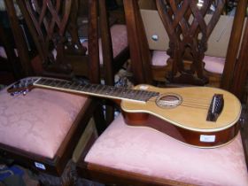 A Johnson JTR-1 Travel Guitar