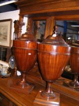 A pair of George III knife urns with boxwood line