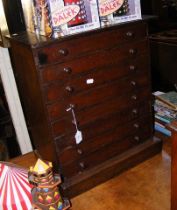 An eight drawer collectors cabinet - 55cms high