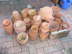 A selection of small terracotta plant pots