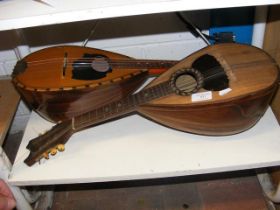 Two mandolins