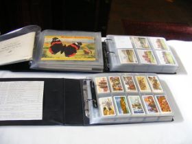 Three albums of collectable cigarette cards includ