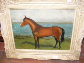 An oil on board of horse with sea behind