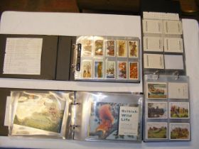 Three albums of collectable cigarette cards, Senio
