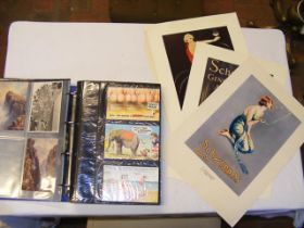 A selection of comic postcards contained in an alb