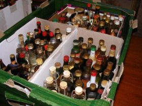 A selection of miniature bottles of alcohol