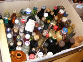 A selection of miniature bottles of alcohol