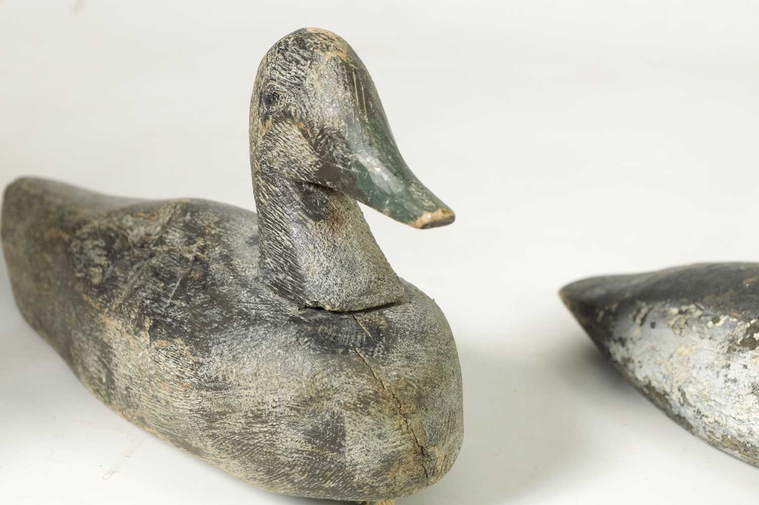 A COLLECTION OF SIX 19TH CENTURY PAINTED CARVED WOODEN DECOY DUCKS - Image 6 of 8