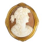 A FINE 19TH CENTURY CARVED CAMEO BUST PORTRAIT BROOCH