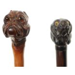 TWO 19TH CENTURY CARVED DOGS HEAD WALKING CANES