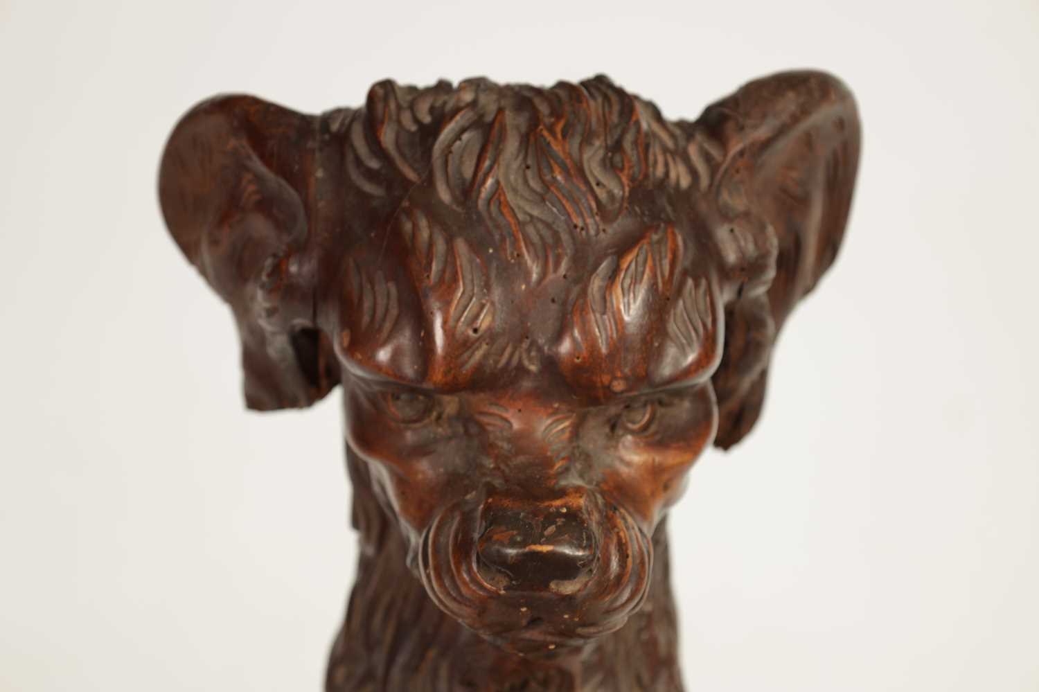 A 19TH-CENTURY BLACK FOREST CARVED WALNUT STICK STAND FORMED AS A BEGGING DOG - Image 6 of 8