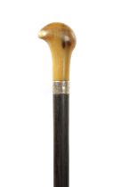 A LATE 19TH CENTURY EBONY AND HORN WALKING CANE