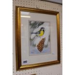Great Tit on Spruce Cone by Maurice Pledger