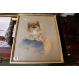 Framed Pastel of a Long Haired Pekingese dog entitled Anna dated 1966 by Marjorie Cox 1915 - 2003