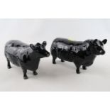 Beswick Aberdeen Angus Bull and Cow for the Aberdeen Angus Cattle society