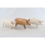 3 Royal Doulton Tamworth Pigs