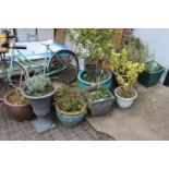 Colelction of assorted Glazed Garden Pots