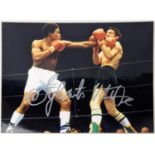 Coloured Photograph signed by boxer "Sylvester Mittee" - Signed 31/3/2020 Pro Collectables