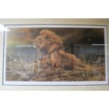 Framed limited edition print of a recumbent Lion signed Alan M Hunt 29/600 framed and mounted