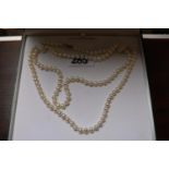 Ladies Pearl set Freshwater Necklace on clasp