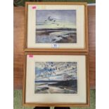 2 Vintage Peter Scott framed prints of Wildfowl in flight