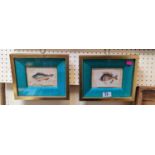 Pair of Gilt framed watercolours of Fish